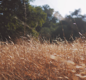 意甲冠军赛团战归来，状态出色